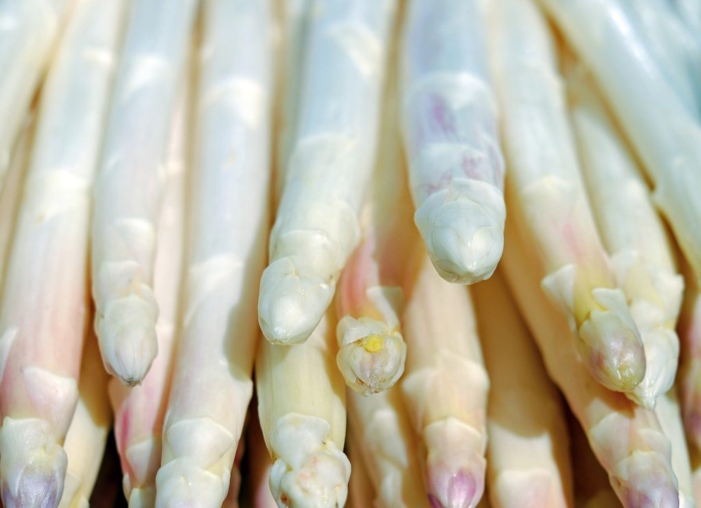 Asperges