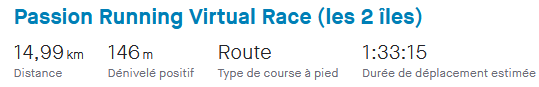 Virtual Race