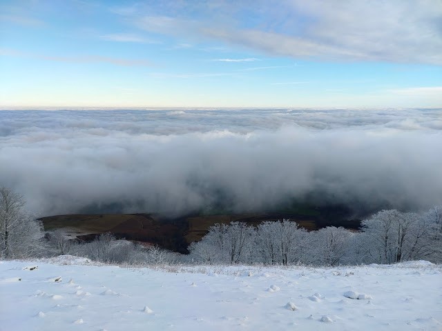 Courir dans la neige