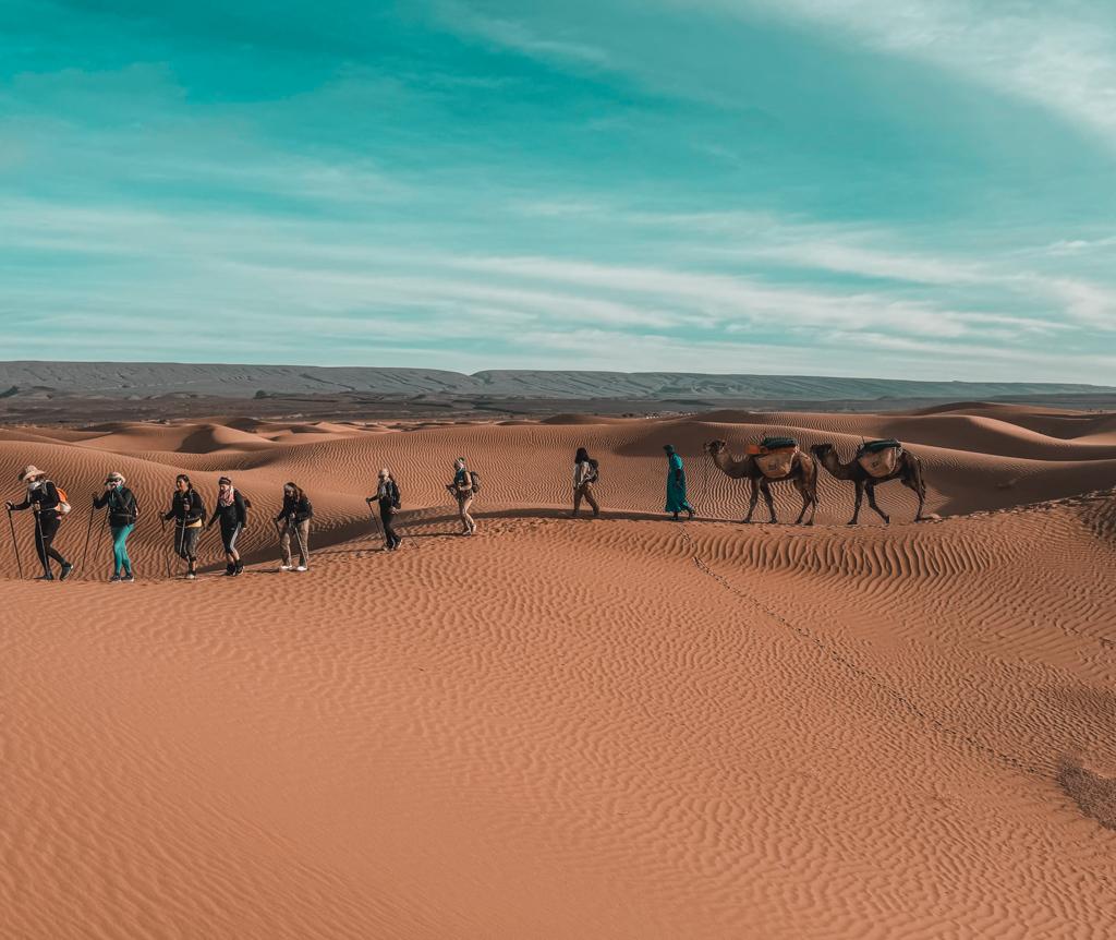 Trek des Gazelles