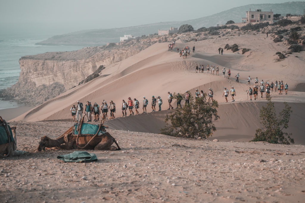 Trek Des Gazelles By Melanie